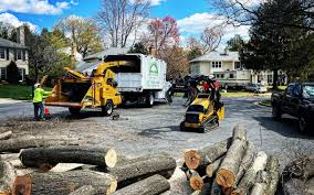 Best Lawn Pest Prevention  in Medina, WA