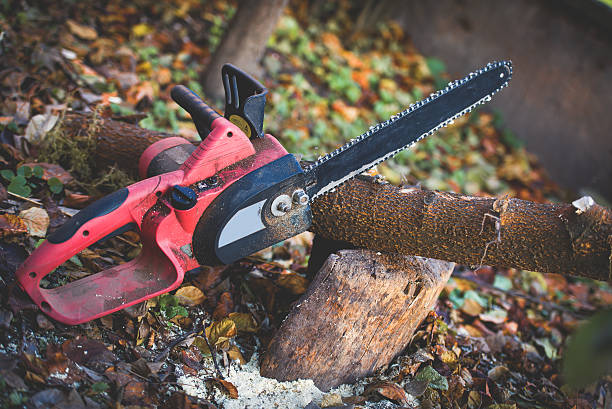 Best Utility Line Clearance  in Medina, WA